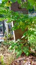 Захоронение ID 1303366