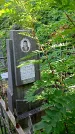 Захоронение ID 1303389