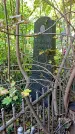 Захоронение ID 1303395