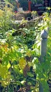 Захоронение ID 1303433