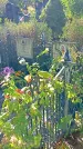 Захоронение ID 1303434