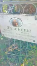 Захоронение ID 1303459