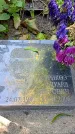 Захоронение ID 1303481