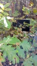Захоронение ID 1303483