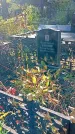 Захоронение ID 1303530