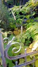 Захоронение ID 1303563