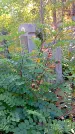 Захоронение ID 1303577