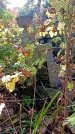 Захоронение ID 1303619