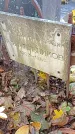 Захоронение ID 1303636