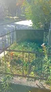 Захоронение ID 1303743