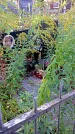 Захоронение ID 1303885