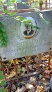Захоронение ID 1303912