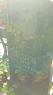 Захоронение ID 1303941
