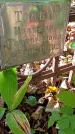 Захоронение ID 1304004
