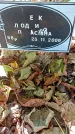 Захоронение ID 1304007