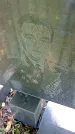 Захоронение ID 1304019