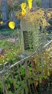 Захоронение ID 1304038