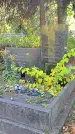 Захоронение ID 1304119