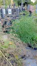 Захоронение ID 1304303