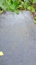Захоронение ID 1304522