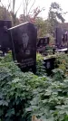 Захоронение ID 1305167