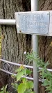 Захоронение ID 1305393