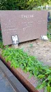 Захоронение ID 1305415