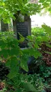 Захоронение ID 1305504