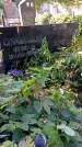Захоронение ID 1305683