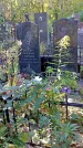 Захоронение ID 1305711