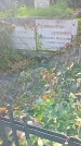 Захоронение ID 1305726