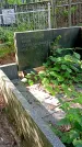 Захоронение ID 1305886