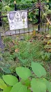 Захоронение ID 1305978