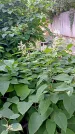 Захоронение ID 1305987