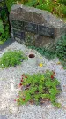 Захоронение ID 1305996