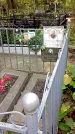 Захоронение ID 1306044