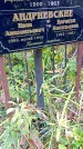 Захоронение ID 1306057
